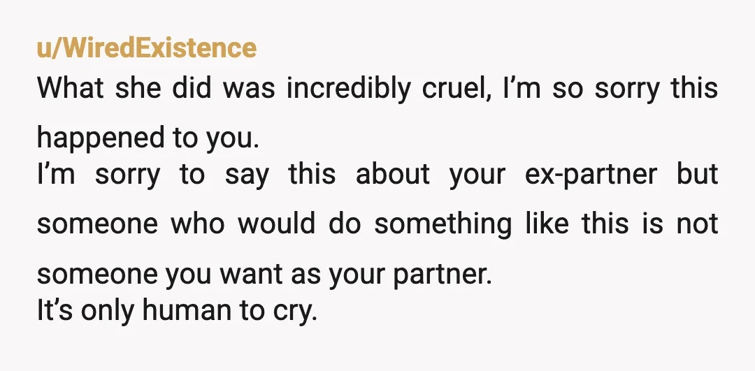u/WiredExistence What she did was incredibly cruel, I’m so sorry this happened to you. I’m sorry to say this about your ex-partner but someone who would do something like this...