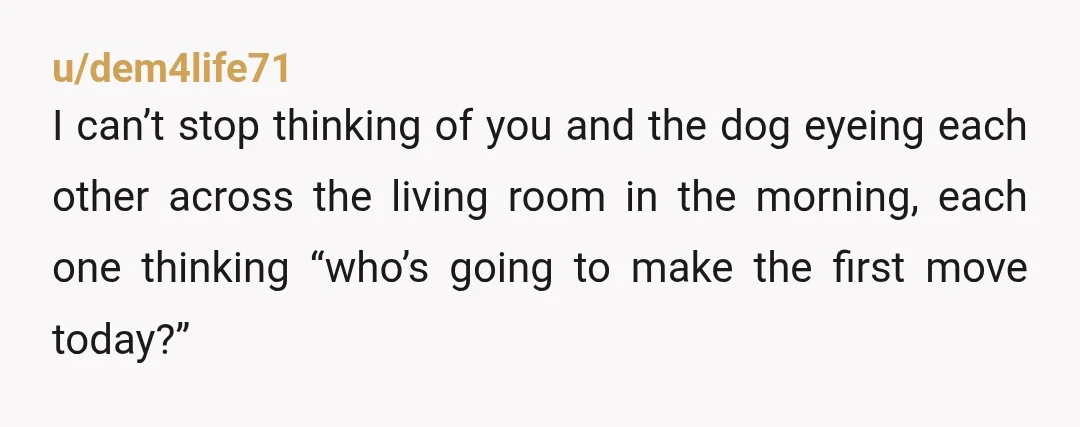 u/dem4life71 I can’t stop thinking of you and the dog eyeing each other across the living room in the morning, each one thinking “who’s going to make the first move...
