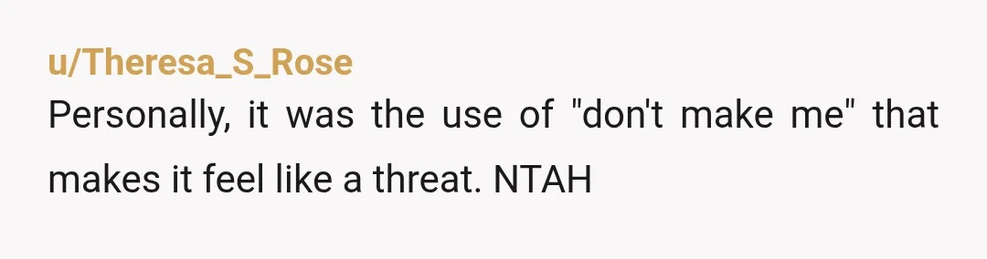 u/Theresa_S_Rose
Personally, it was the use of "don't make me" that makes it feel like a threat. NTAH