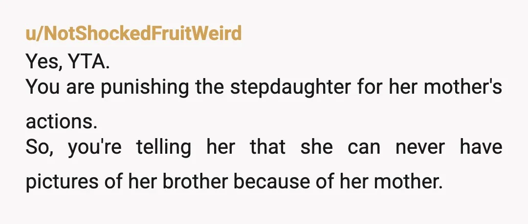 u/NotShockedFruitWeird
Yes, YTA.
You are punishing the stepdaughter for her mother's actions.
So, you're telling her that she can never have pictures of her brother because of her mother.
