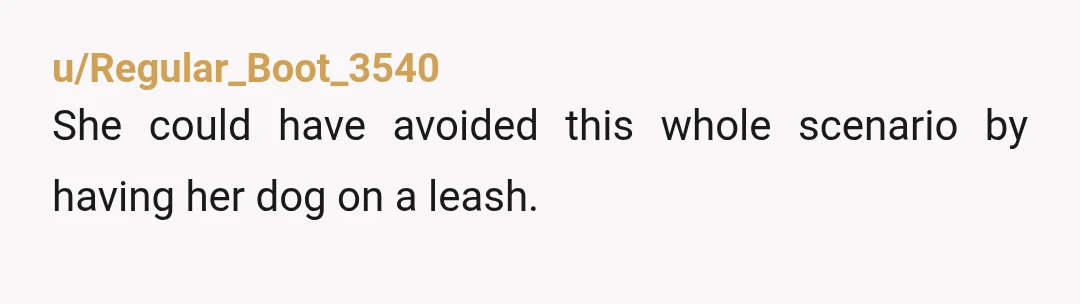 u/Working_Pianist_9904
I’m a dog lover but NTA, the dog should be on a lead if she can’t control it.
It’s her fault it got out, not yours