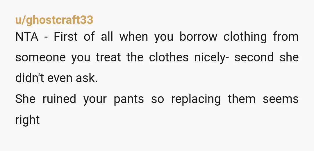 u/flooperdooper4 NTA, your sister is a thief and a terrible sister. She knows damn well how she got those pants - her smirk said it all. So she stole, lied,...