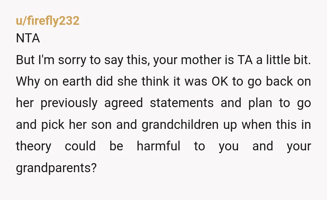 u/Able_Difficulty6333 OB and SIL are definite the AHs for bringing a sick child to a gathering. (Do you think a sick child wants to go to an adult’s b’day party...