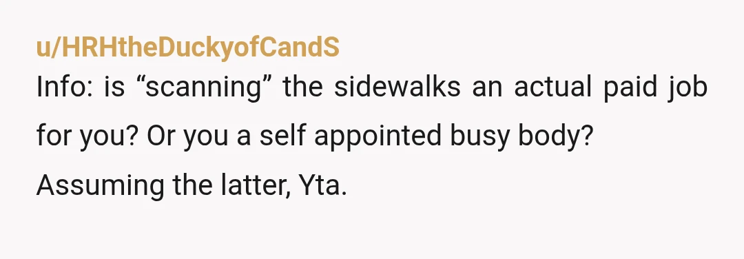 u/HRHtheDuckyofCandS
Info: is “scanning” the sidewalks an actual paid job for you? Or you a self appointed busy body?
Assuming the latter, Yta.