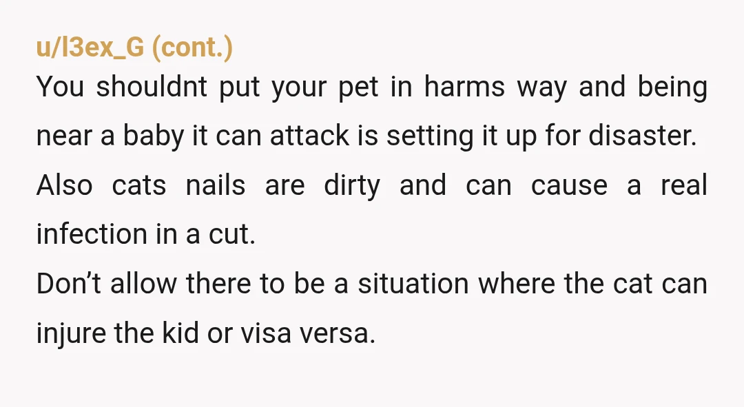 u/Dizzy-Case-3453 “Train our creatures”, WTF? Who calls their niece a creature. YTA just for that. Protect your cat and don’t let it be around a baby, kittens are notorious for...