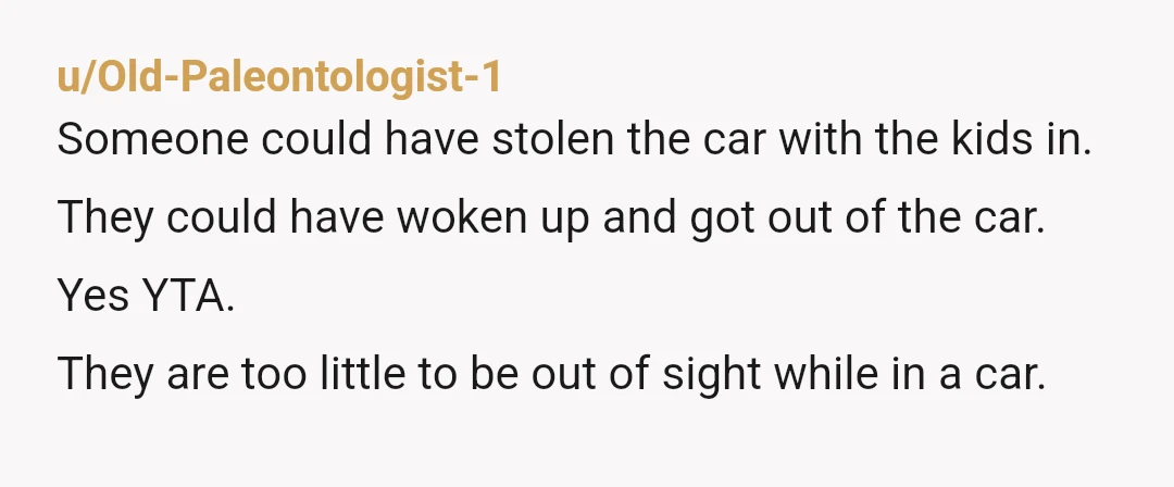 u/bakedbaker319 YTA, They could have easily woken up. Could they have been scared? Could they have gotten out of their car seats? the Car? Are you kidding me with this?...