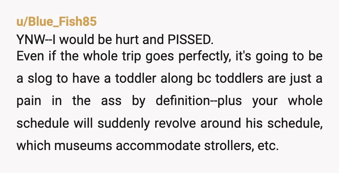u/Blue_Fish85 YNW--I would be hurt and PISSED. Even if the whole trip goes perfectly, it's going to be a slog to have a toddler along bc toddlers are just a...