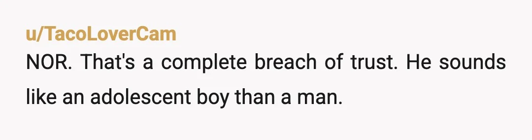 u/TacoLoverCam
NOR. That's a complete breach of trust. He sounds like an adolescent boy than a man.