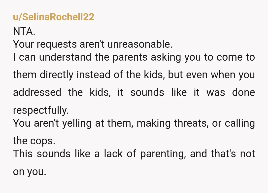 u/SelinaRochell22 NTA. Your requests aren't unreasonable. I can understand the parents asking you to come to them directly instead of the kids, but even when you addressed the kids, it...