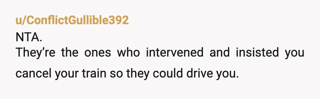 u/ConflictGullible392
NTA.
They’re the ones who intervened and insisted you cancel your train so they could drive you.Â