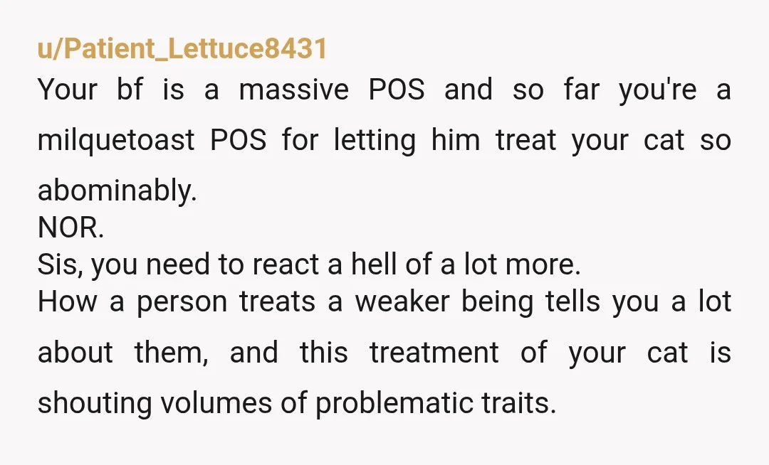 u/Patient_Lettuce8431 Your bf is a massive POS and so far you're a milquetoast POS for letting him treat your cat so abominably. NOR. Sis, you need to react a hell...