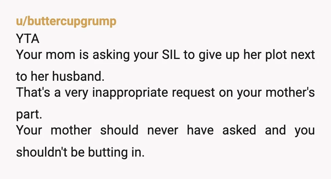 u/Jerseygirl2468 YTA like...how dare you and your mom? Your brother and his wife planned and bought that for THEMSELVES and their children. THEIR immediate family. Expecting her to be ok...