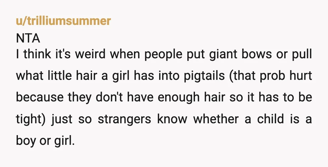 u/trilliumsummer NTA I think it's weird when people put giant bows or pull what little hair a girl has into pigtails (that prob hurt because they don't have enough hair...