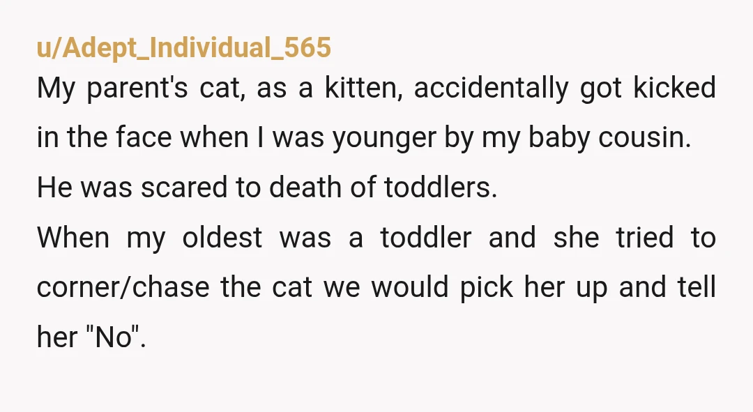 u/imollyq You did not overreact. Your reaction was appropriate. If the cat had bitten the little girl, it could have resulted in a very severe infection, because cat bites get...