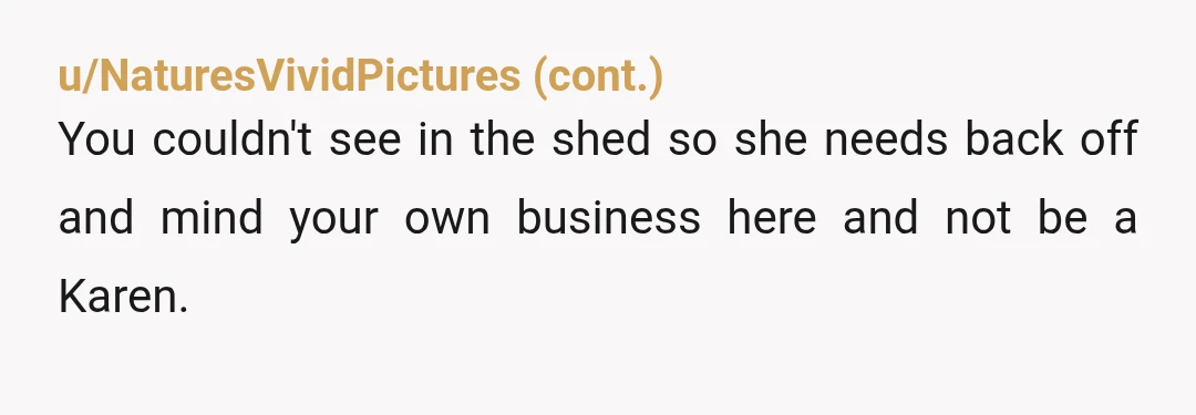 u/Immediate_Fortune_91
Nta. They can’t see in a locked shed. They aren’t superman. Your wife is being very unreasonable.