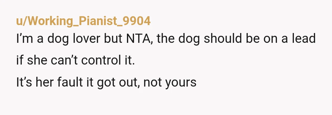 u/3kidsnomoney---
NTA, none of this would have happened if the dog was leashed like it should have been for everyone's safety (including the dog's!)
