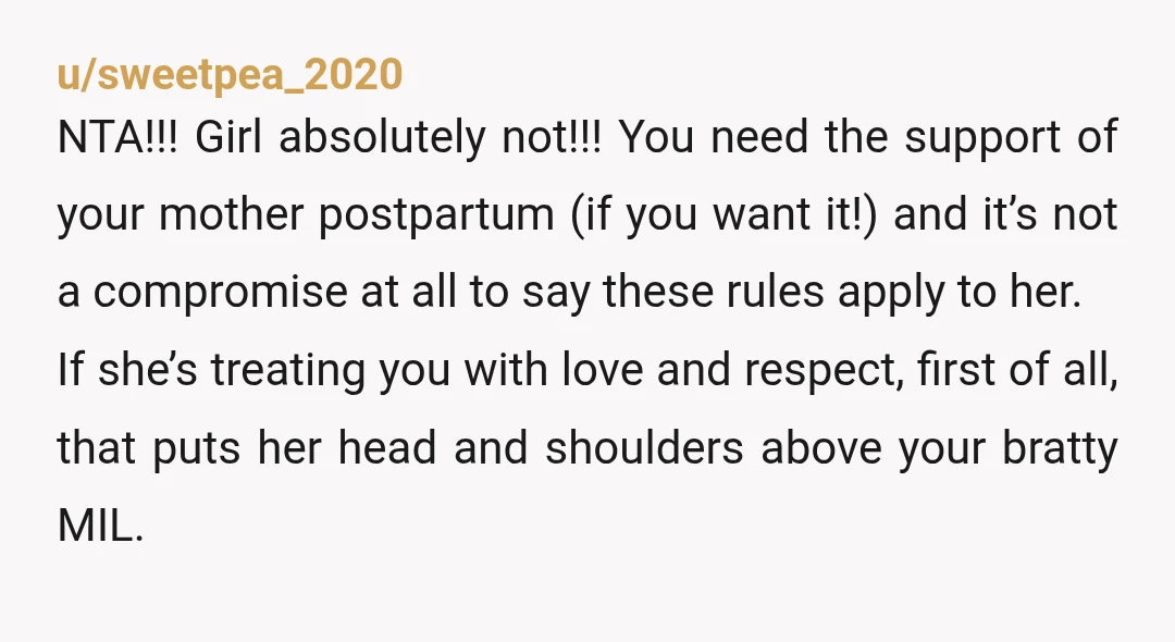 u/Ibenthinkin2much
A drunk is a drunk weather she's a Mom or not.
You wouldn't invite a drunk to your house, so that's a big fat NO.