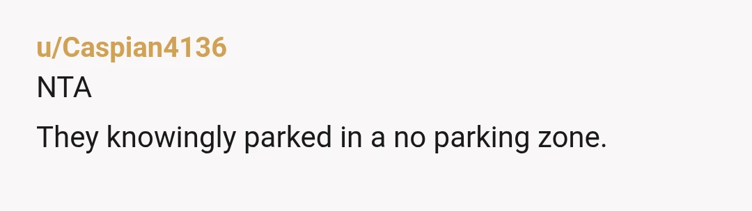 u/SnailsInYourAnus NTA, not sure why you think you are. They parked in a no parking zone. They should have picked a different spot and maybe read the sign if they...