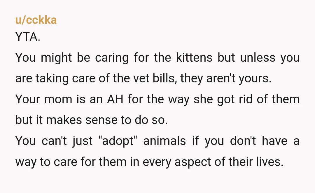 u/Creepy_Song5083 YTA You brought two stray cats into your mother's home without permission, while assuming she was going to financially provide for the animals since you are on disability pension....