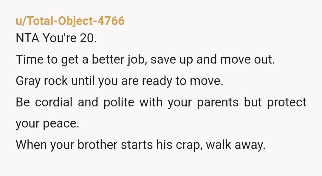 u/deedZ1379 NTA - Without knowing much about your parents, they are giving your brother much more leeway to act out. This might be because they’re conformists that give him preferential...