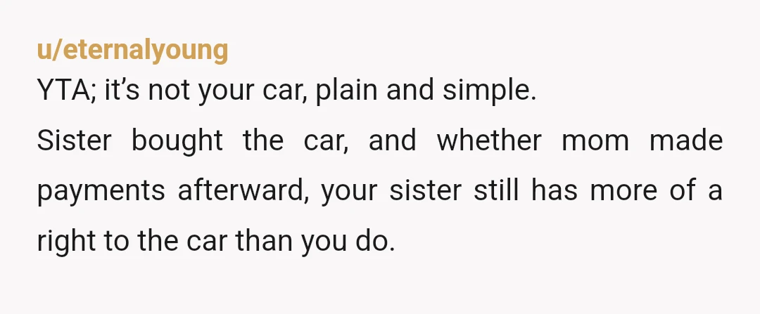 u/burritosandboobs Tbh it's her car that you're using for work. It sounds like it's in her name and your mom cosigned. Regardless of the financial agreement between your sister and...