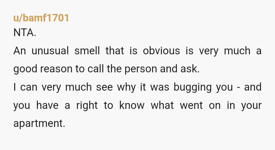 u/bamf1701 NTA. An unusual smell that is obvious is very much a good reason to call the person and ask. I can very much see why it was bugging you...