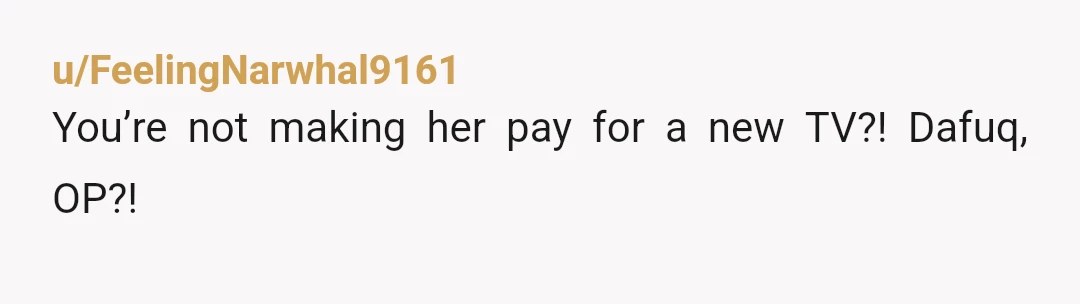 u/B58_Hustler
Send a bill for the vet visit, replacement TV and your doctors visit for your hearing. If it’s nothing she should cough up the $$ no problem…