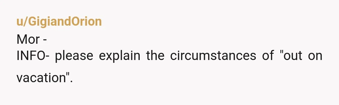 u/GigiandOrion
Mor -
INFO- please explain the circumstances of "out on vacation".