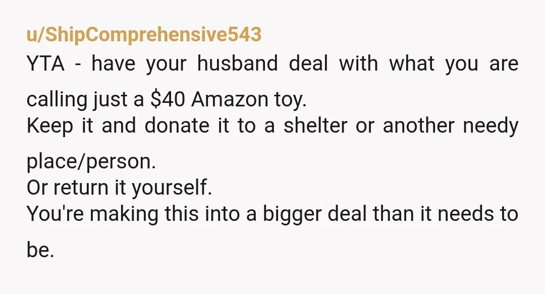 u/ShipComprehensive543 YTA - have your husband deal with what you are calling just a $40 Amazon toy. Keep it and donate it to a shelter or another needy place/person. Or...