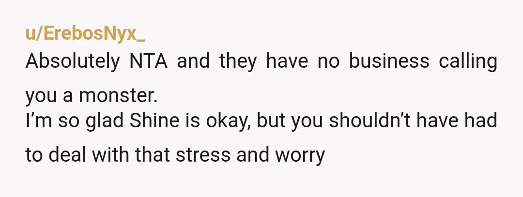u/ErebosNyx_
Absolutely NTA and they have no business calling you a monster.
I’m so glad Shine is okay, but you shouldn’t have had to deal with that stress and worry