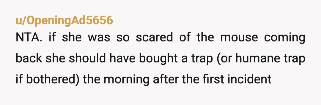 u/OpeningAd5656
NTA. if she was so scared of the mouse coming back she should have bought a trap (or humane trap if bothered) the morning after the first incident