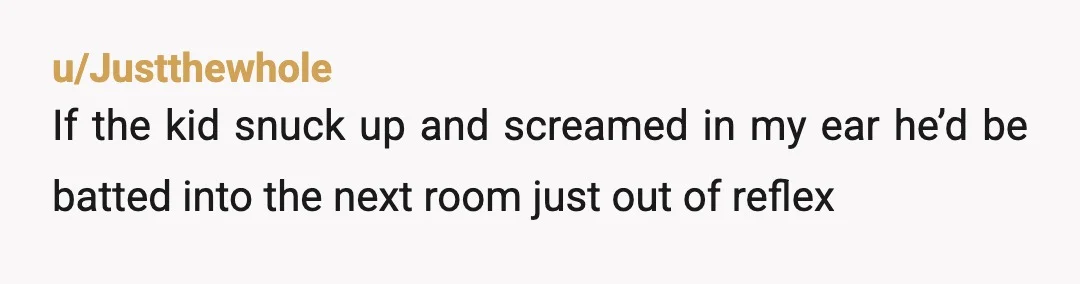 u/Justthewhole
If the kid snuck up and screamed in my ear he’d be batted into the next room just out of reflex