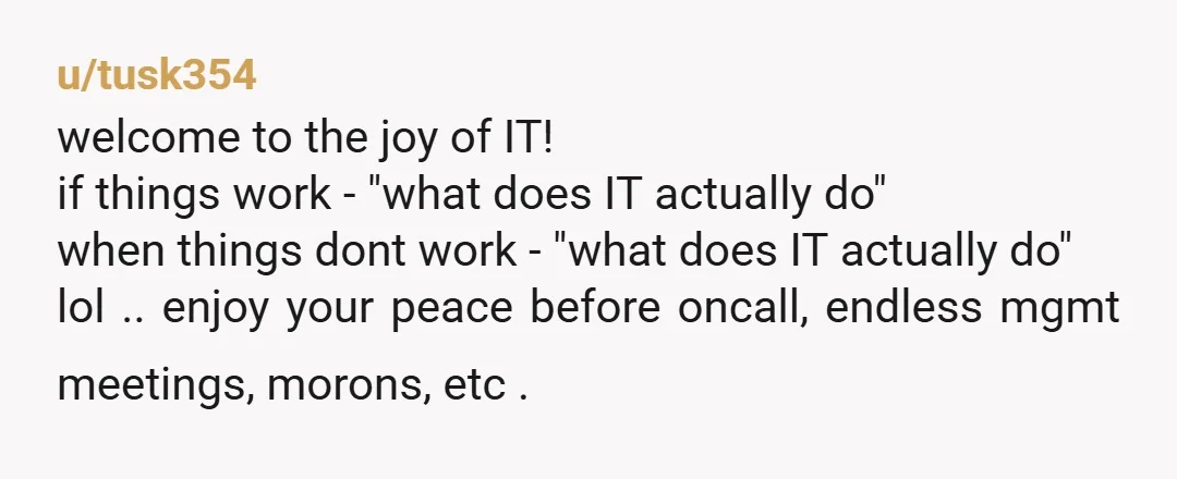 u/tusk354 welcome to the joy of IT! if things work - "what does IT actually do" when things dont work - "what does IT actually do" lol .. enjoy your...