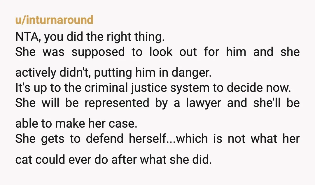 u/inturnaround NTA, you did the right thing. She was supposed to look out for him and she actively didn't, putting him in danger. It's up to the criminal justice system...