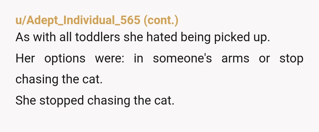 u/Automatic_Gas9019
NTAH They need to go stay somewhere else. I would not want the grand kid or step kid there