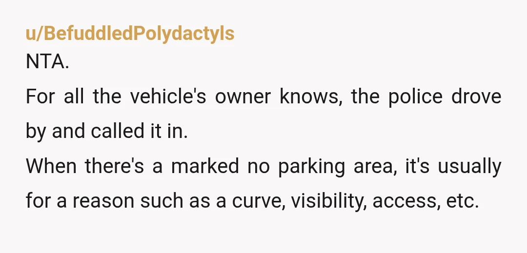 u/Creative-Painter3911
NTA.
But just clarifying, these are official no parking signs posted by the city, not signs you put up yourself?