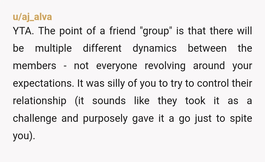 u/gahidus YTA You are absolutely the AH here, and you were completely out of line not only to try to police your friends love lives, but then to expect them...