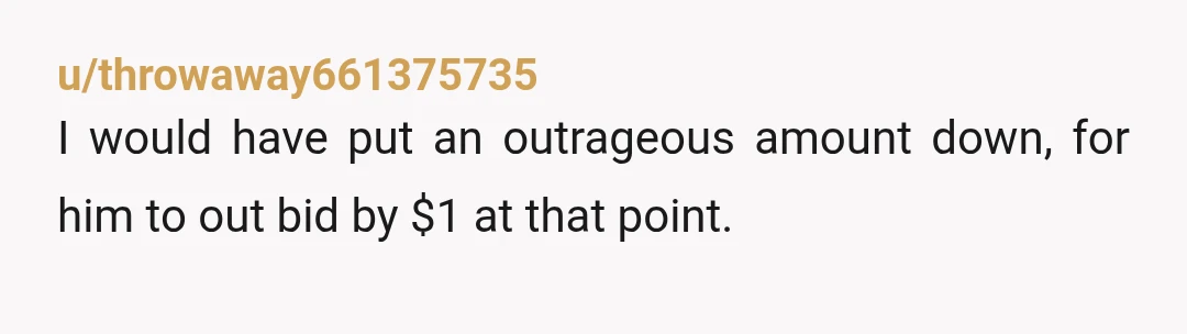 u/Single-Flamingo-33
Nothing wrong with slowly filling out your name and trying to decide your bid amount as time expires!
Well played!