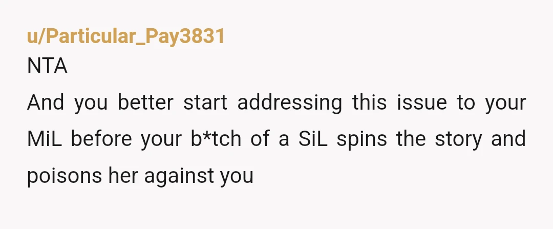 u/Scarlet_Wonderer NTA. You are allowed to set boundaries on your house, especially when someone shows themselves to be a danger. As other said, send her the bills so she knows...