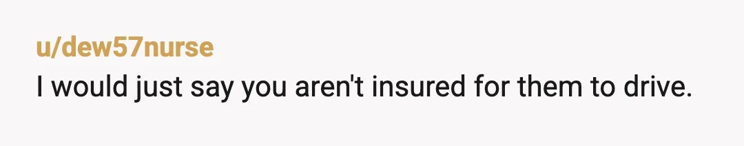 u/dew57nurse
I would just say you aren't insured for them to drive.