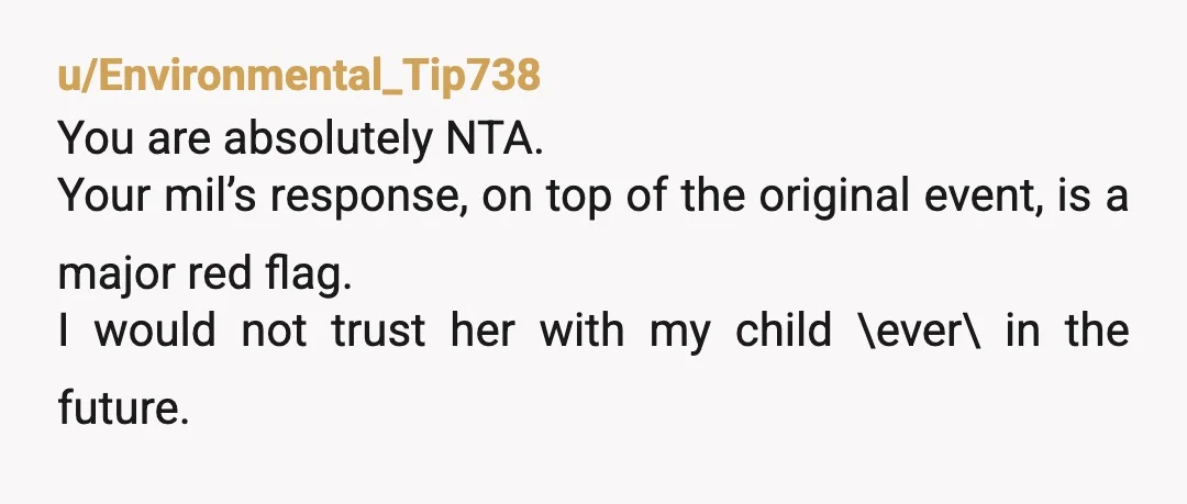 u/Environmental_Tip738 You are absolutely NTA. Your mil’s response, on top of the original event, is a major red flag. I would not trust her with my child \ever\ in the...