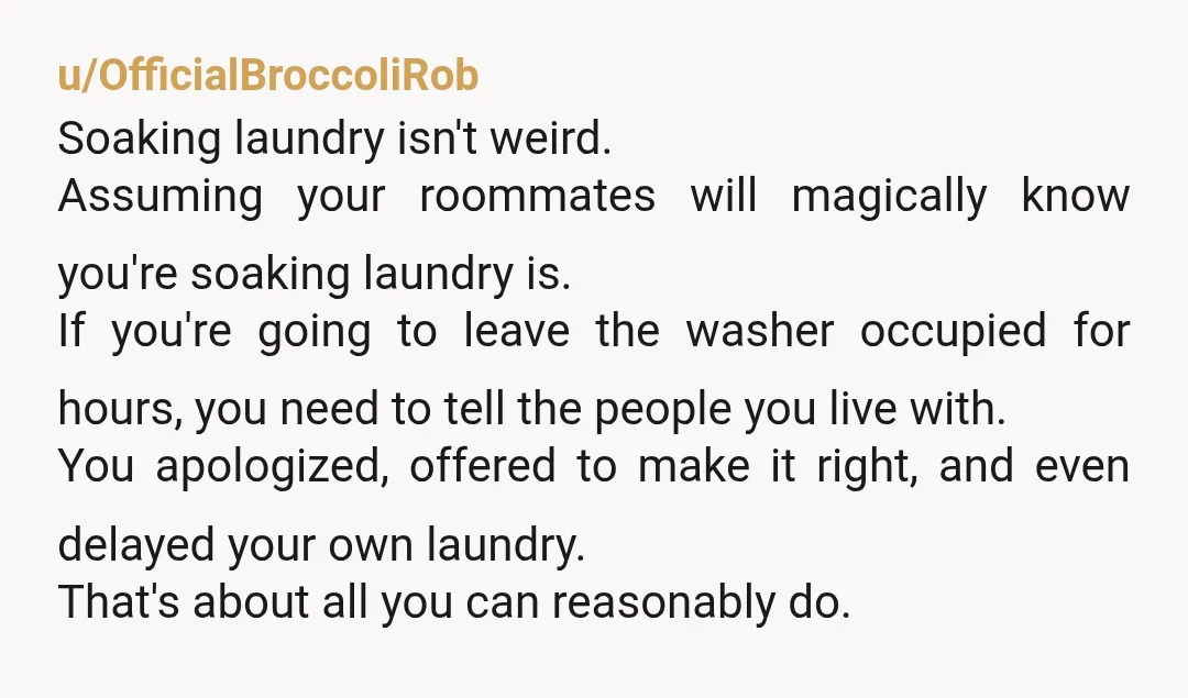 u/OfficialBroccoliRob Soaking laundry isn't weird. Assuming your roommates will magically know you're soaking laundry is. If you're going to leave the washer occupied for hours, you need to tell the...