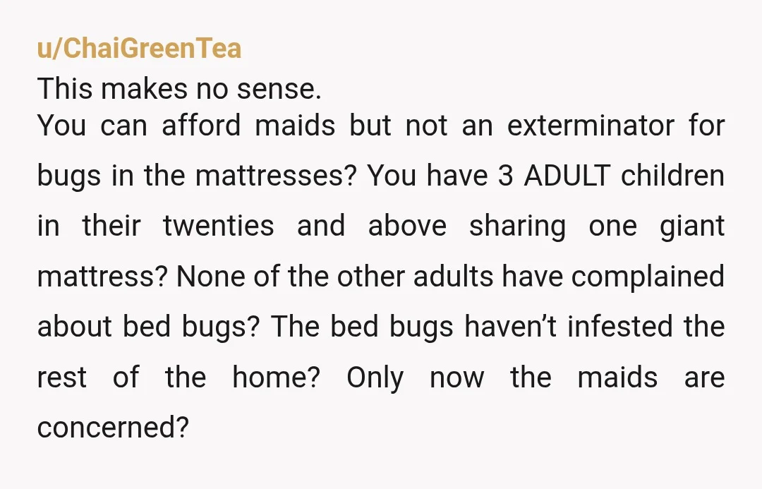 u/ChaiGreenTea This makes no sense. You can afford maids but not an exterminator for bugs in the mattresses? You have 3 ADULT children in their twenties and above sharing one...
