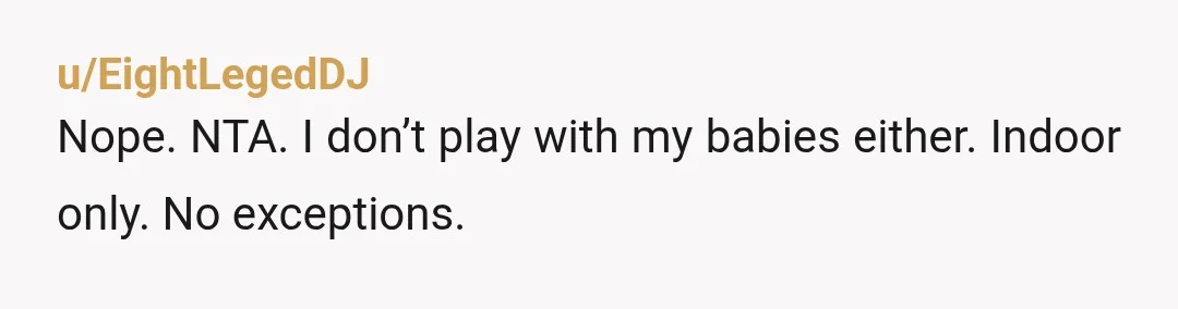 u/EightLegedDJ
Nope. NTA. I don’t play with my babies either. Indoor only. No exceptions.