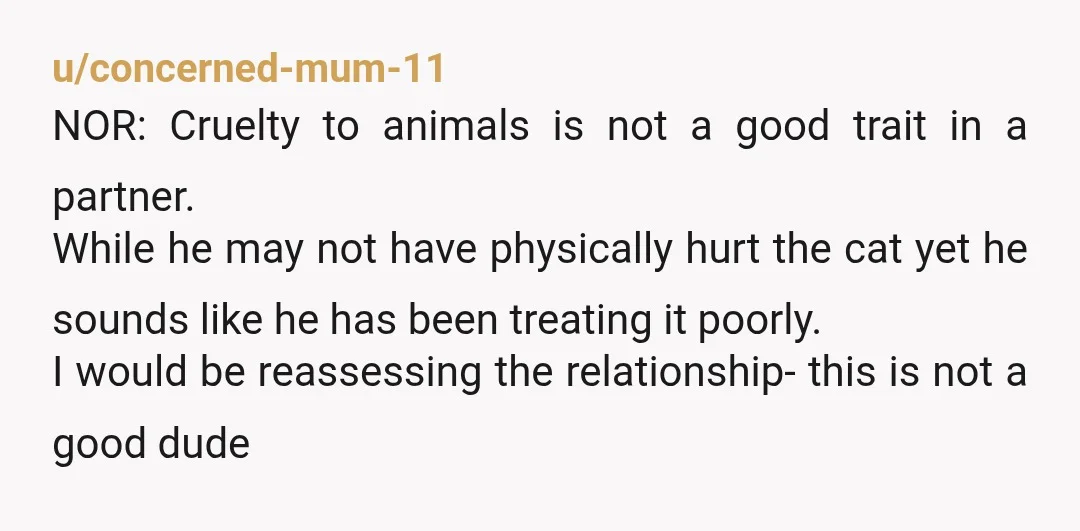 u/NervousNewtArt NOR if you don't planning on breaking up with him please don't let him near your cat any more or find your cat a home where it's not being...