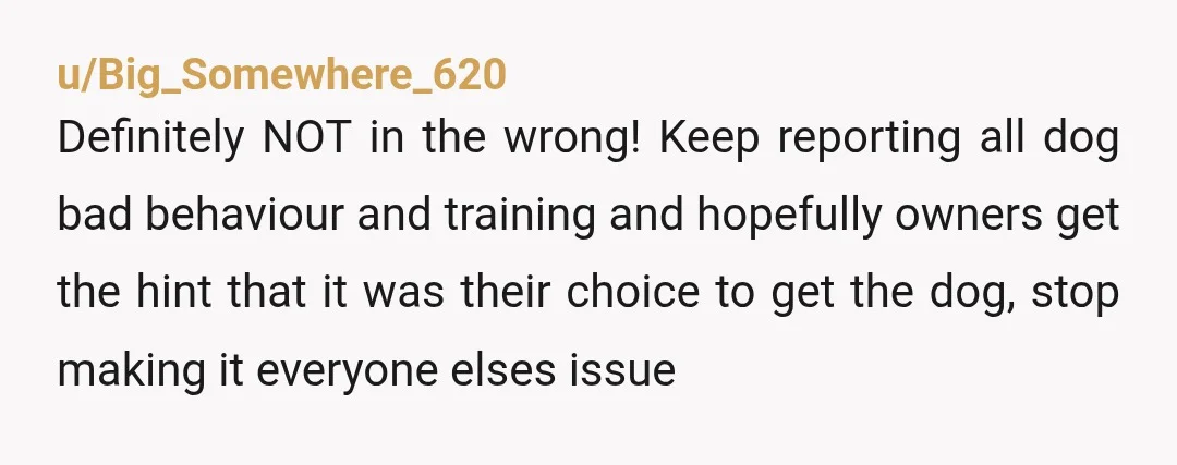 u/Big_Somewhere_620 Definitely NOT in the wrong! Keep reporting all dog bad behaviour and training and hopefully owners get the hint that it was their choice to get the dog, stop...