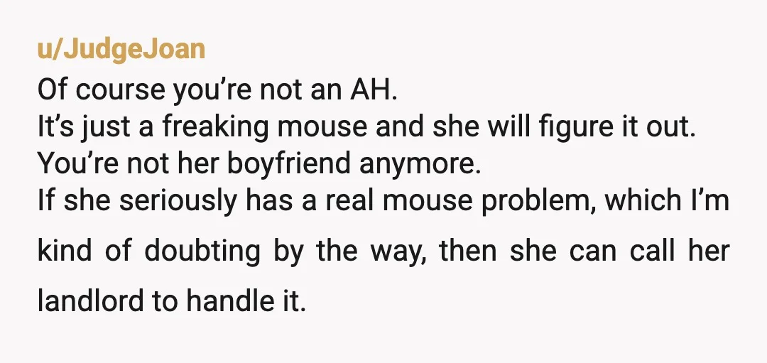 u/JudgeJoan Of course you’re not an AH. It’s just a freaking mouse and she will figure it out. You’re not her boyfriend anymore. If she seriously has a real mouse...