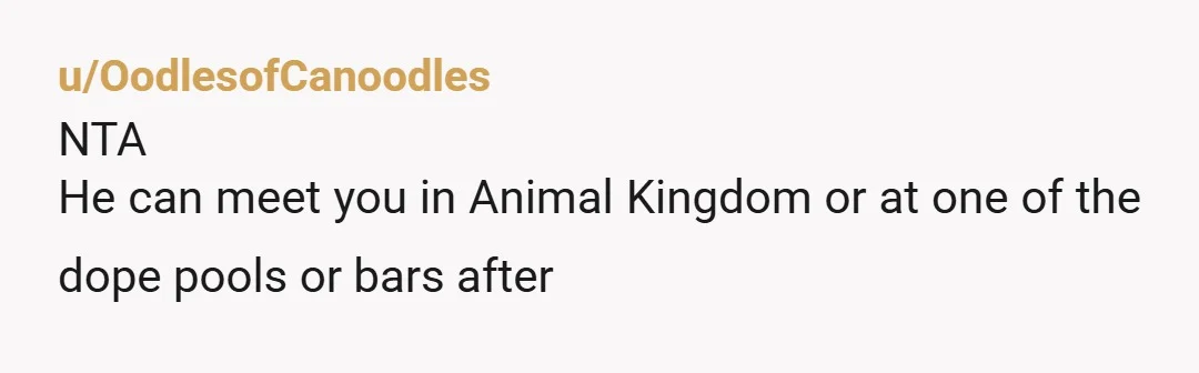 u/OodlesofCanoodles
NTA
He can meet you in Animal Kingdom or at one of the dope pools or bars after