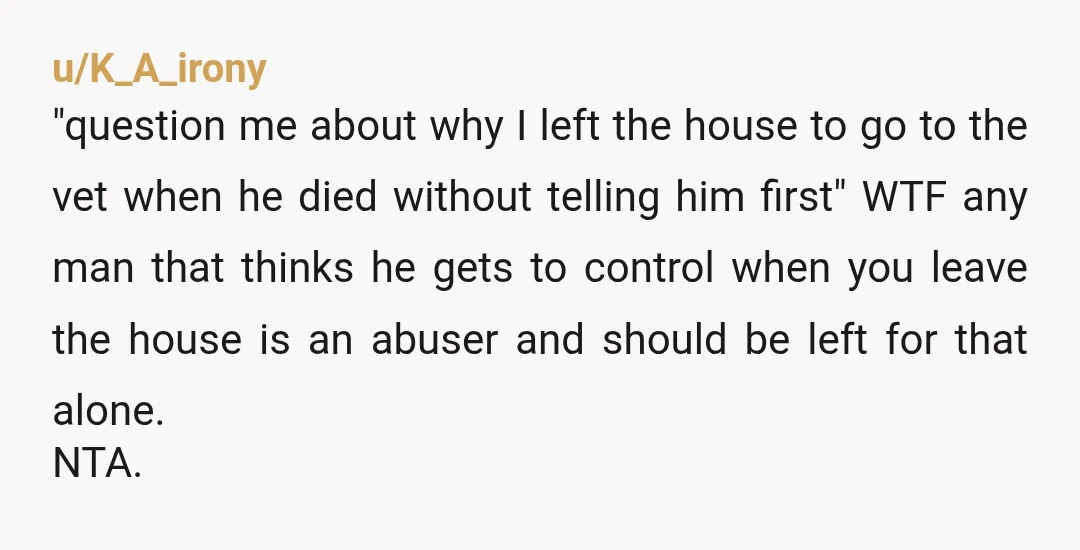 u/K_A_irony "question me about why I left the house to go to the vet when he died without telling him first" WTF any man that thinks he gets to control...
