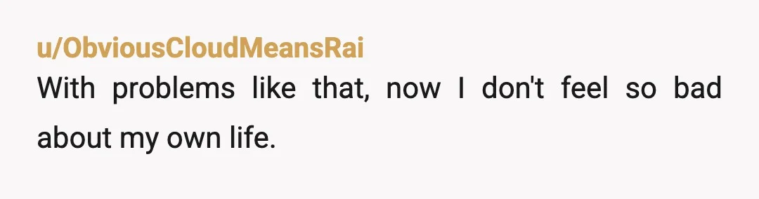 u/ObviousCloudMeansRai
With problems like that, now I don't feel so bad about my own life. 